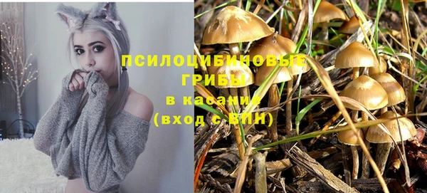 бутират Алзамай