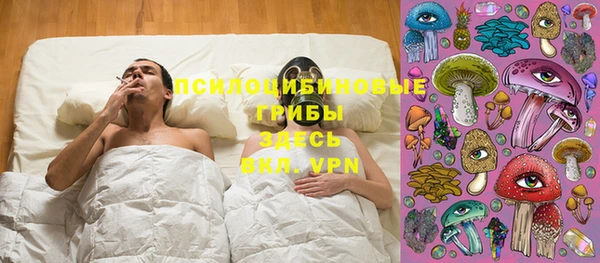 соль ск Алексеевка
